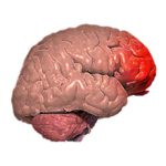 Ушиб головного мозга: симптомы, лечение и последствия